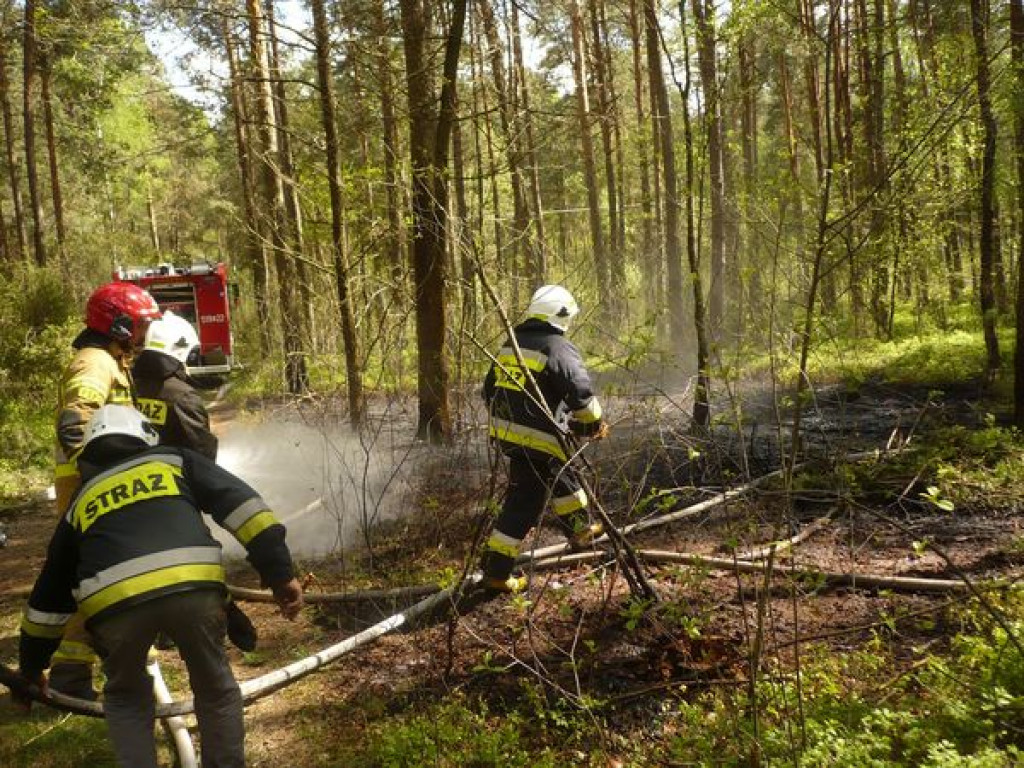 Pożar ściółki w lesie w Grabowcu
