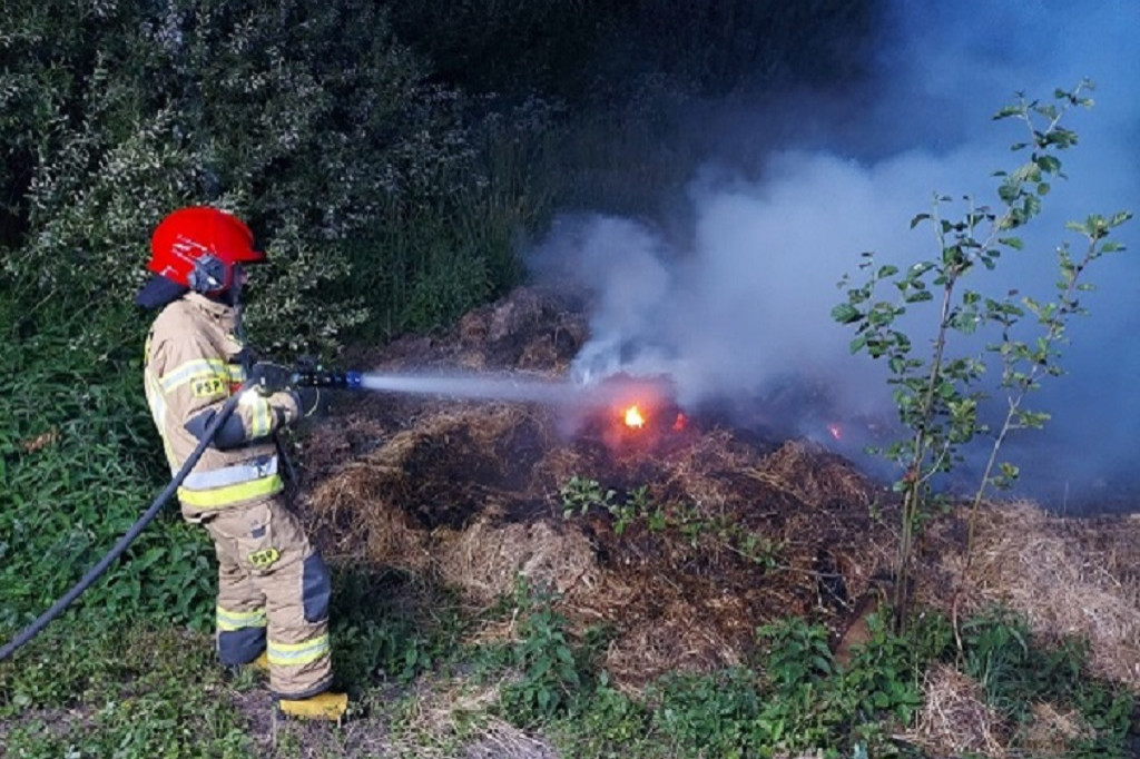 Interwencje strażaków na początku czerwca