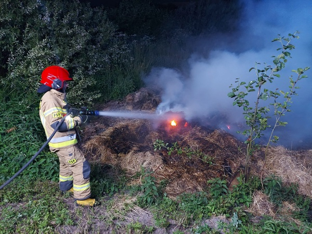 Interwencje strażaków na początku czerwca