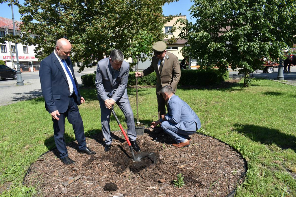 Powiatowy Konkurs Plastyczny 