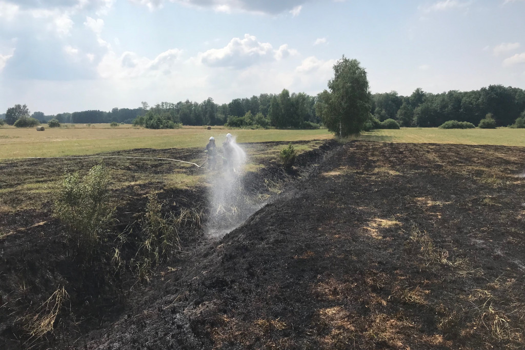 Akcje strażaków w drugiej połowie czerwca