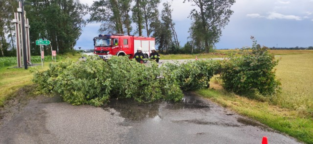 Akcje strażaków w drugiej połowie czerwca