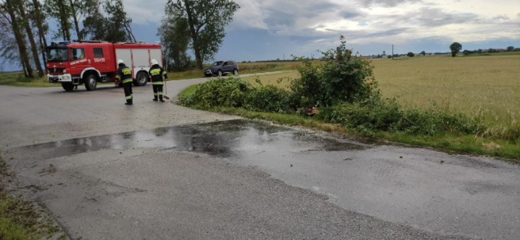 Akcje strażaków w drugiej połowie czerwca