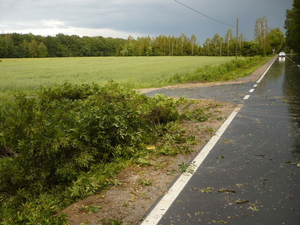 Akcje strażaków w drugiej połowie czerwca