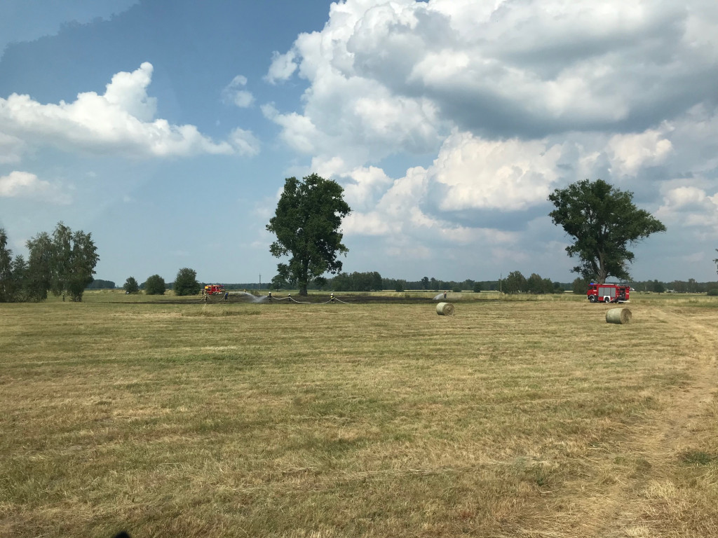 Akcje strażaków w drugiej połowie czerwca