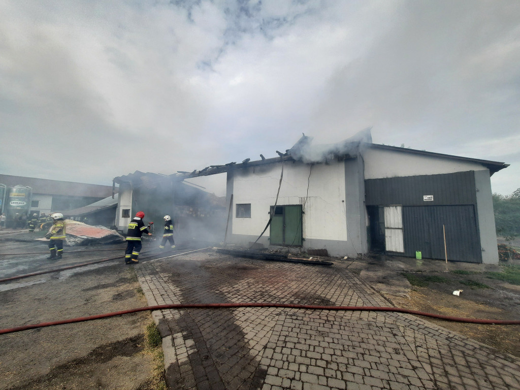 Interwencje strażaków w drugiej połowie lipca