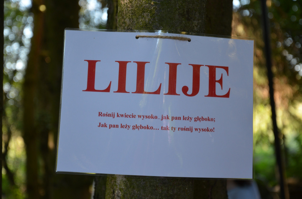 Narodowe Czytanie 2022 w gminie Ulan-Majorat