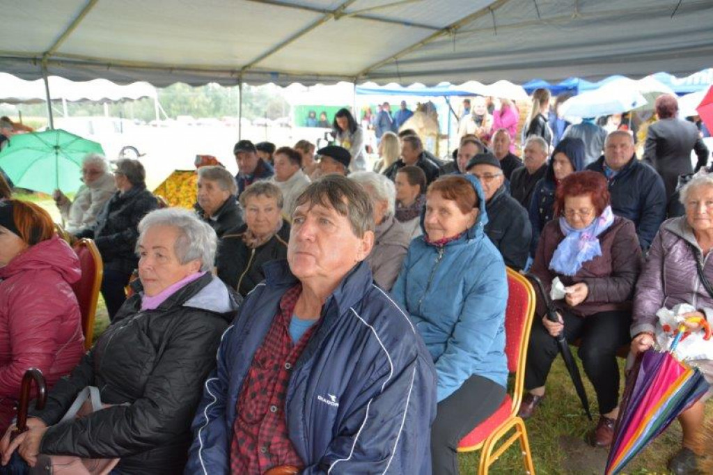 Dożynki w gminie Radzyń Podlaski