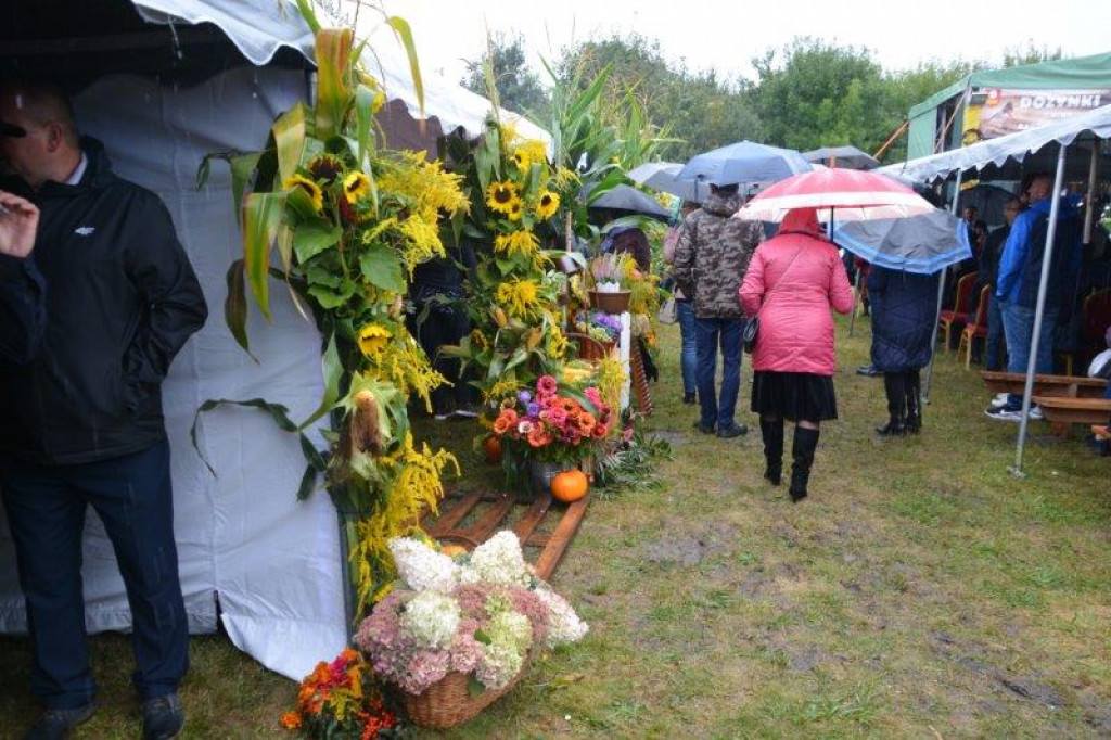 Dożynki w gminie Radzyń Podlaski