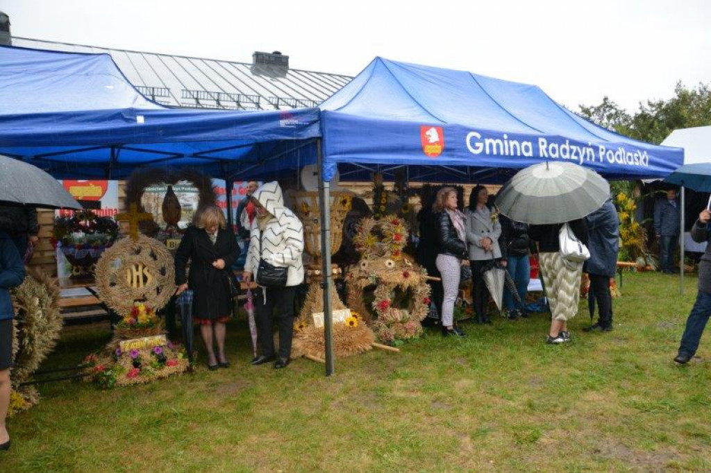 Dożynki w gminie Radzyń Podlaski