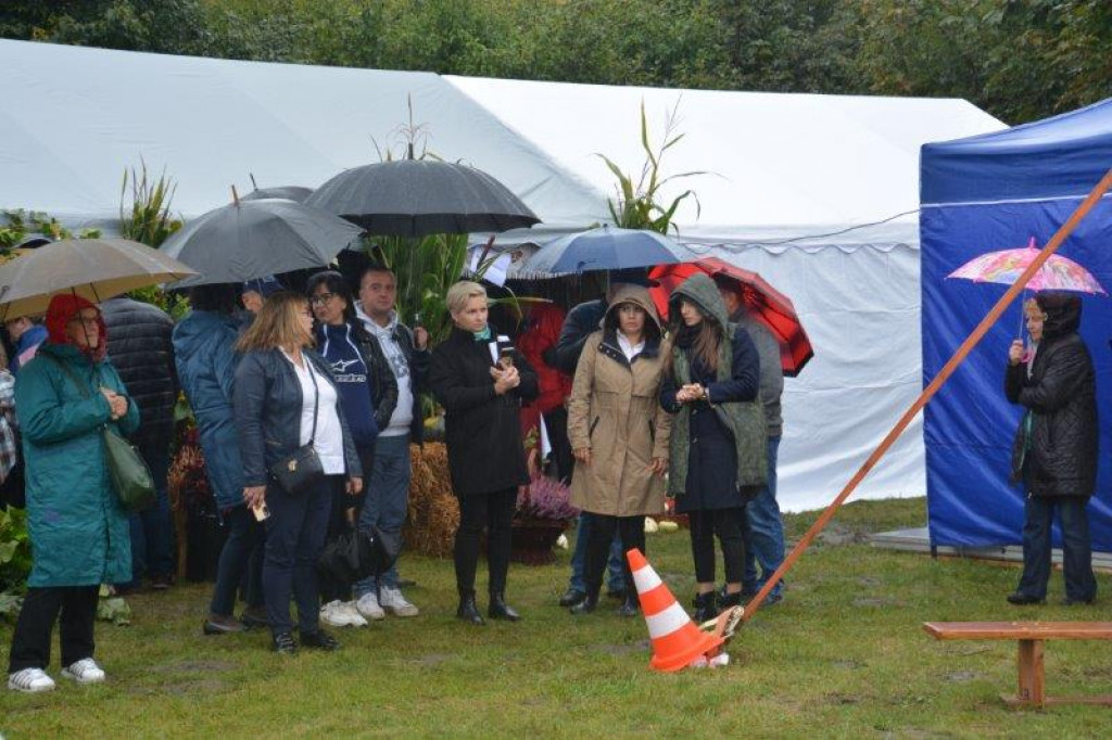 Dożynki w gminie Radzyń Podlaski