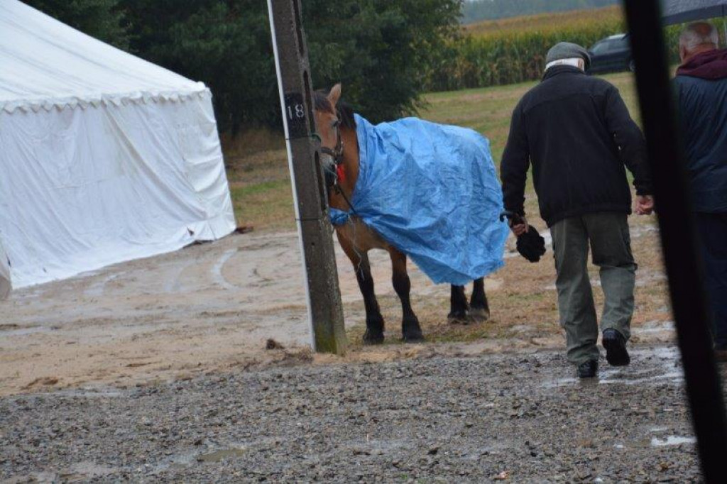 Dożynki w gminie Radzyń Podlaski