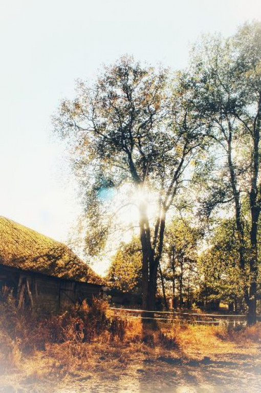 Konkurs fotograficzny 