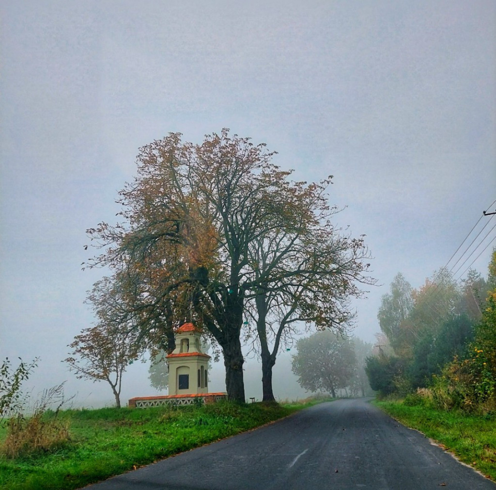 Konkurs fotograficzny 
