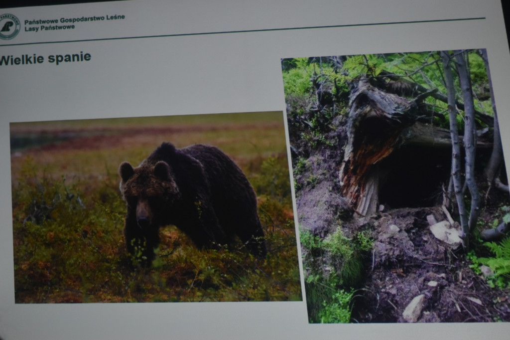 Ferie w gminie Wohyń