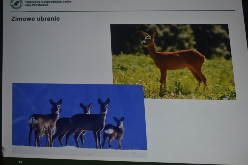 Ferie w gminie Wohyń