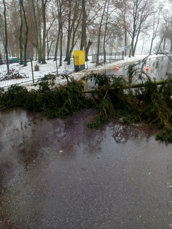Interwencje strażaków w styczniu