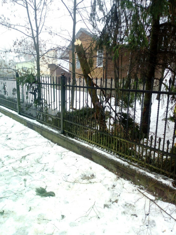 Interwencje strażaków w styczniu