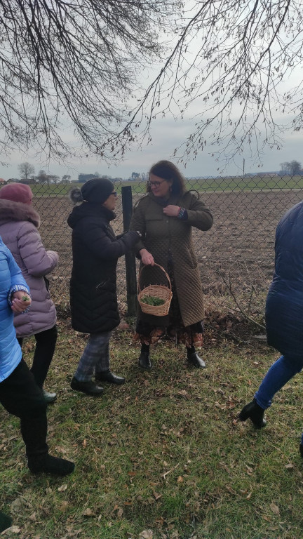 Warsztaty zielarskie w Klubie 