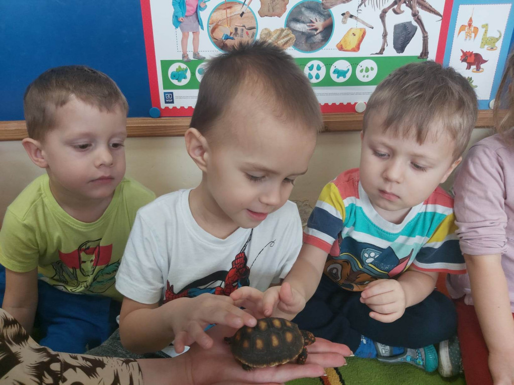 Żywa lekcja przyrody z gadami w Wohyniu