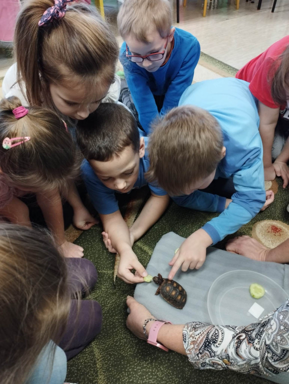 Żywa lekcja przyrody z gadami w Wohyniu