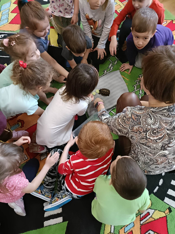 Żywa lekcja przyrody z gadami w Wohyniu