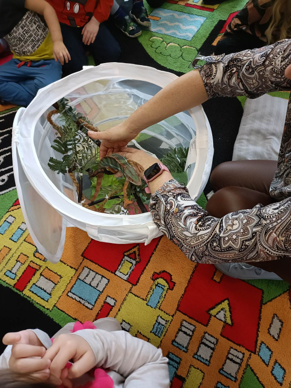 Żywa lekcja przyrody z gadami w Wohyniu