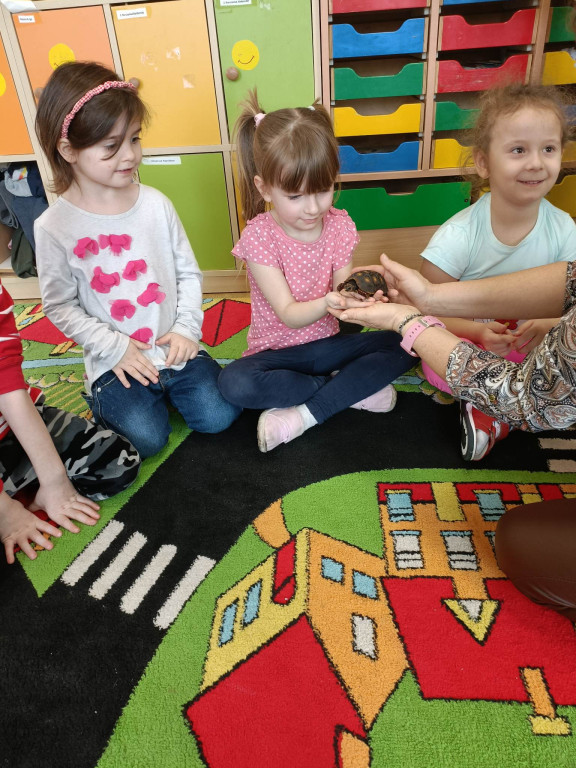 Żywa lekcja przyrody z gadami w Wohyniu