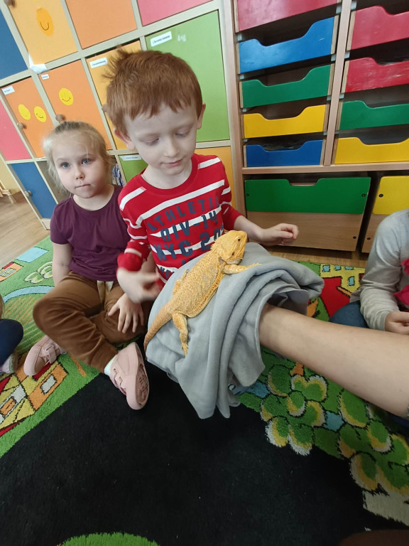 Żywa lekcja przyrody z gadami w Wohyniu