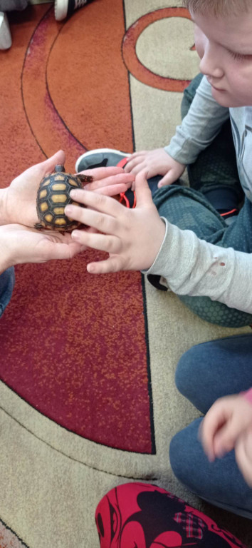 Żywa lekcja przyrody z gadami w Wohyniu