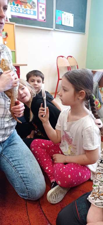 Żywa lekcja przyrody z gadami w Wohyniu