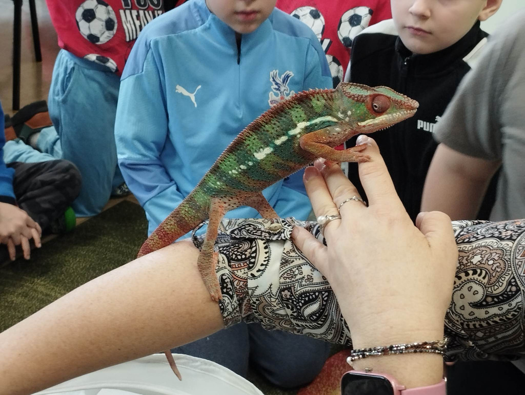 Żywa lekcja przyrody z gadami w Wohyniu