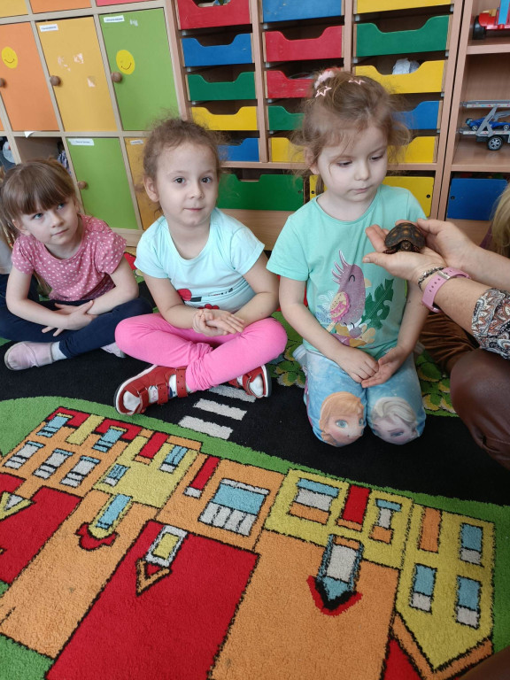 Żywa lekcja przyrody z gadami w Wohyniu