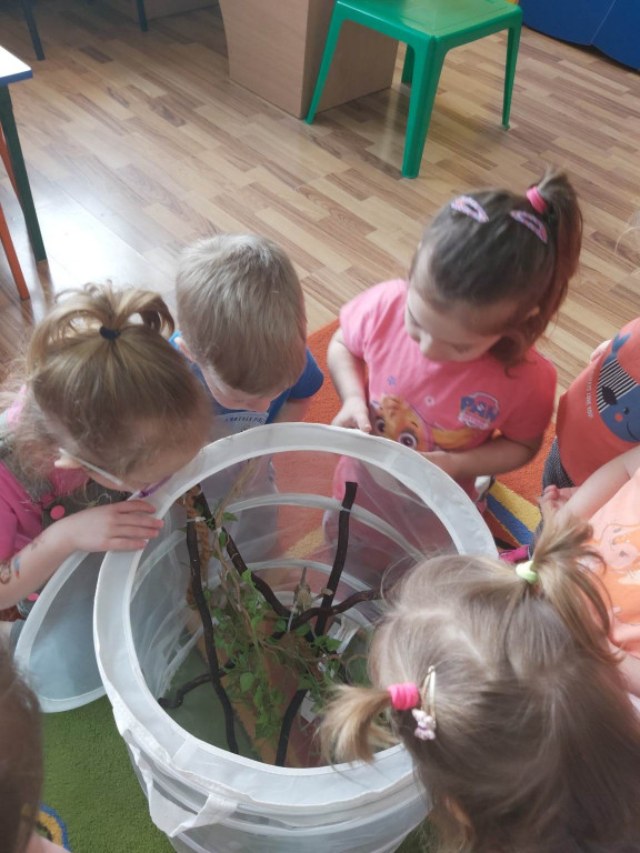 Żywa lekcja przyrody z gadami w Wohyniu