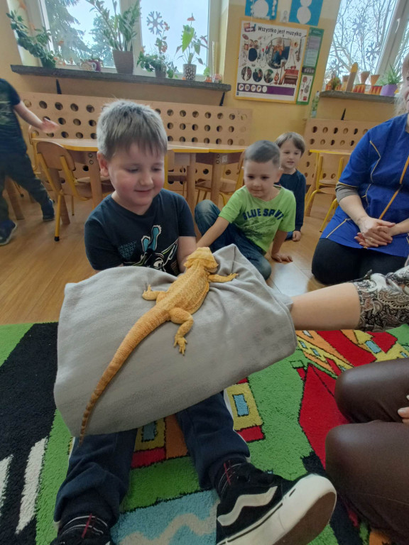 Żywa lekcja przyrody z gadami w Wohyniu