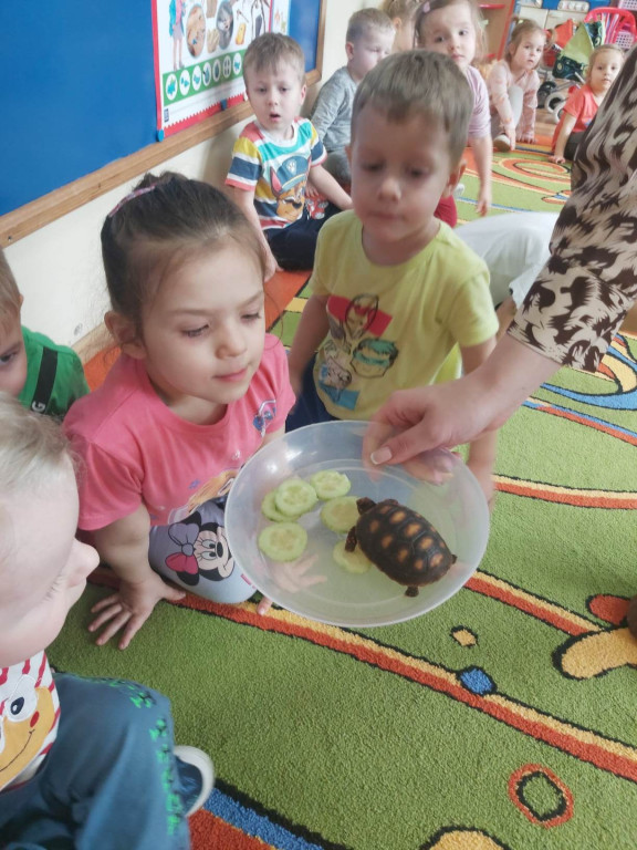 Żywa lekcja przyrody z gadami w Wohyniu