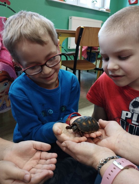 Żywa lekcja przyrody z gadami w Wohyniu