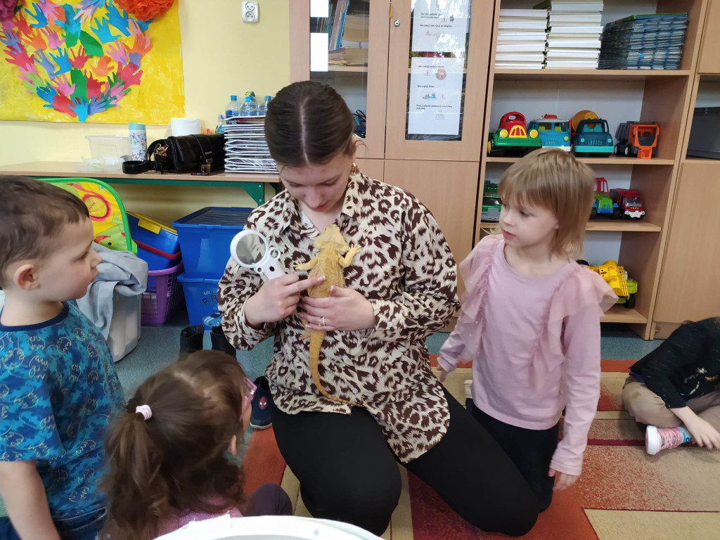 Żywa lekcja przyrody z gadami w Wohyniu