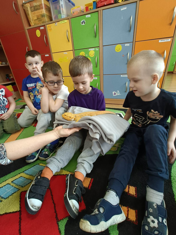 Żywa lekcja przyrody z gadami w Wohyniu