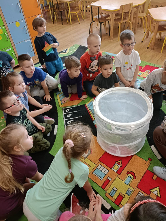 Żywa lekcja przyrody z gadami w Wohyniu