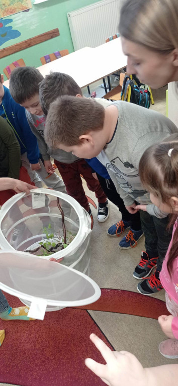 Żywa lekcja przyrody z gadami w Wohyniu