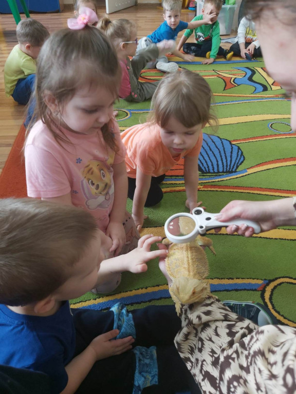 Żywa lekcja przyrody z gadami w Wohyniu