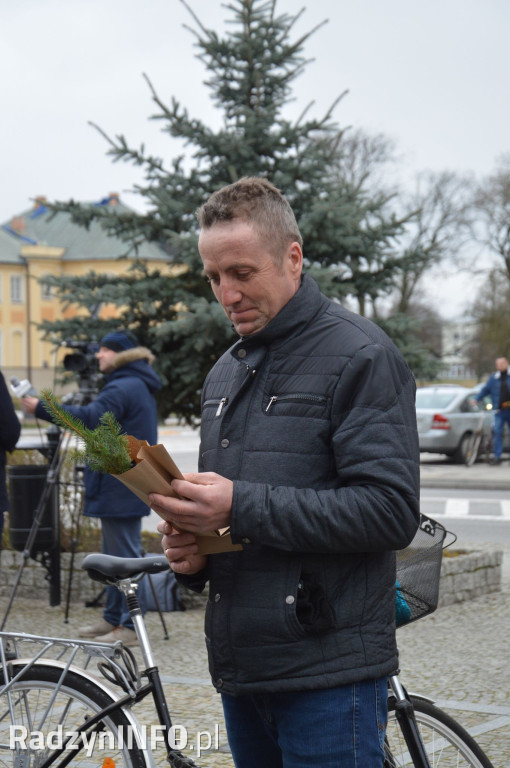 Akcja rozdawania sadzonek drzew w Radzyniu