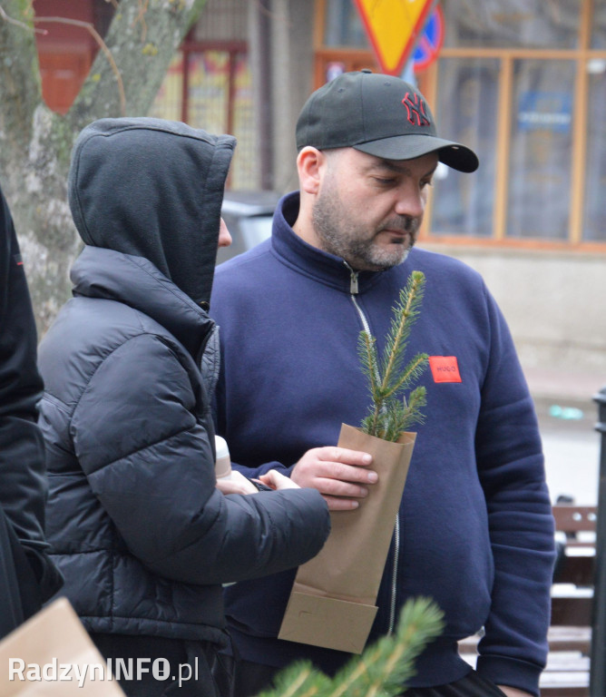 Akcja rozdawania sadzonek drzew w Radzyniu