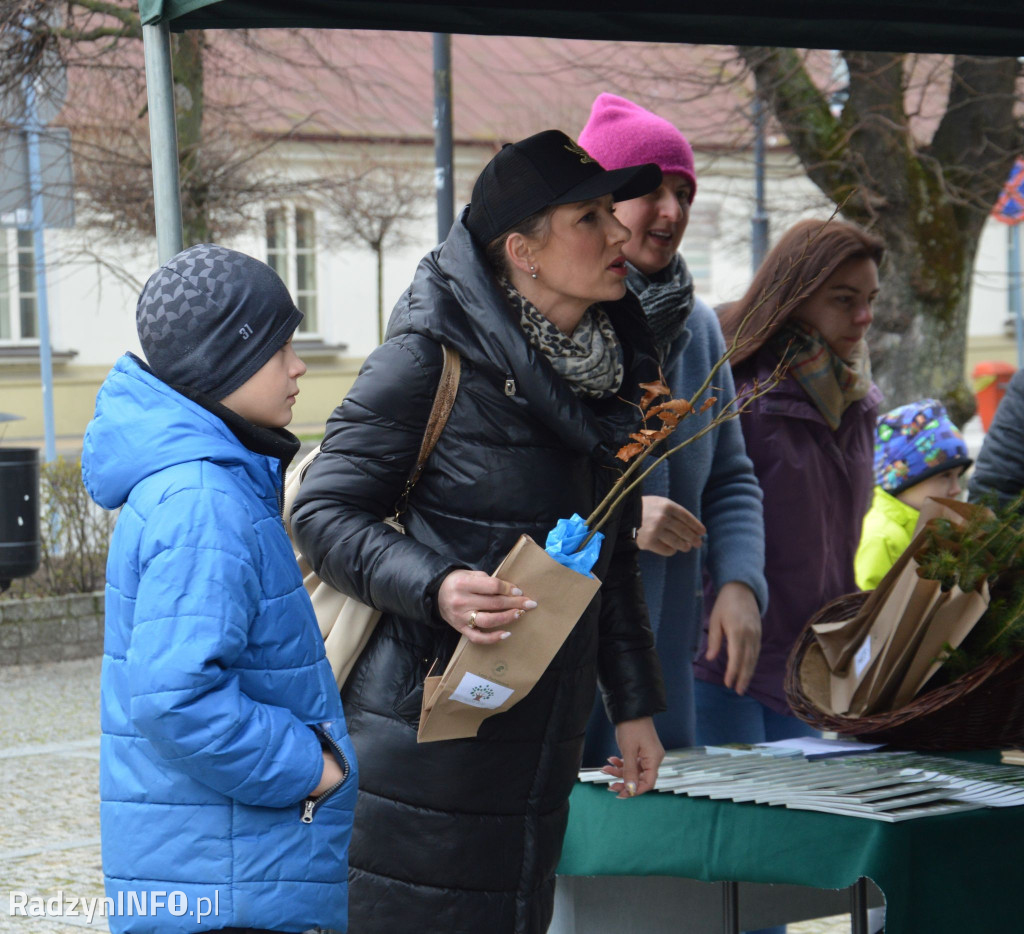 Akcja rozdawania sadzonek drzew w Radzyniu