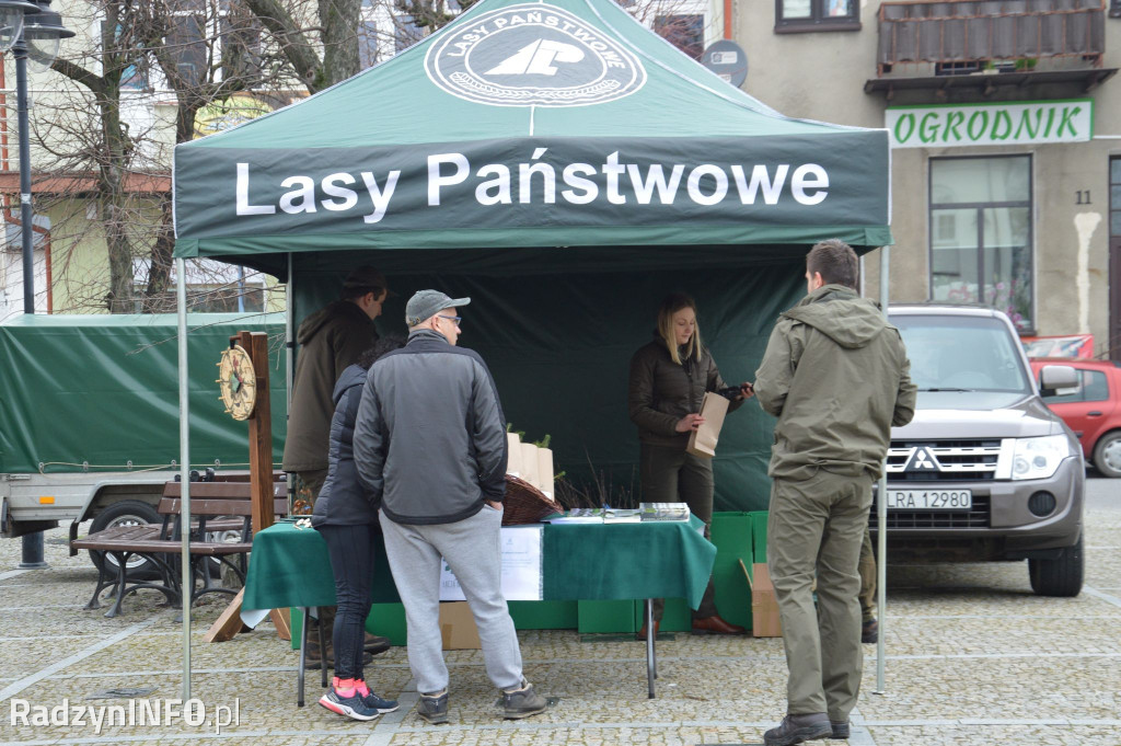 Akcja rozdawania sadzonek drzew w Radzyniu