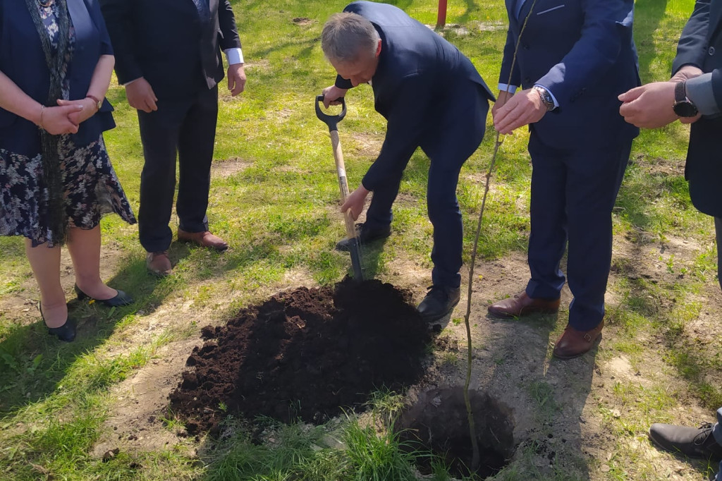 Posadzenie Dębu Władysława Górskiego w Sętkach