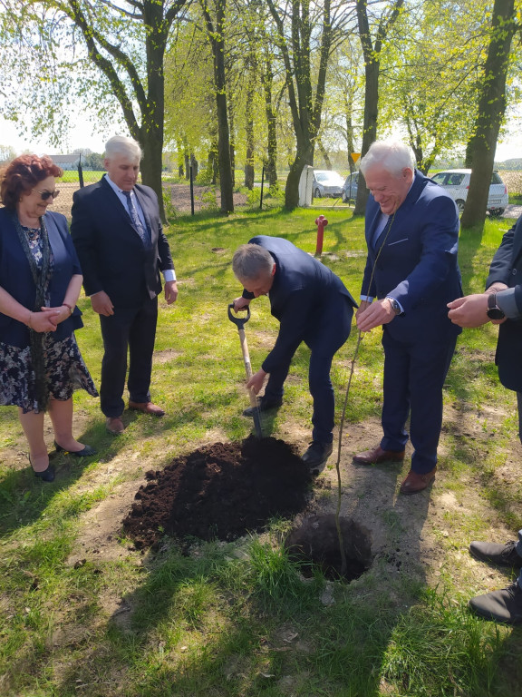 Posadzenie Dębu Władysława Górskiego w Sętkach