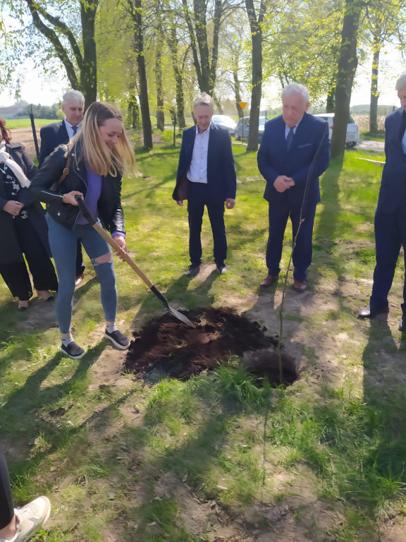 Posadzenie Dębu Władysława Górskiego w Sętkach