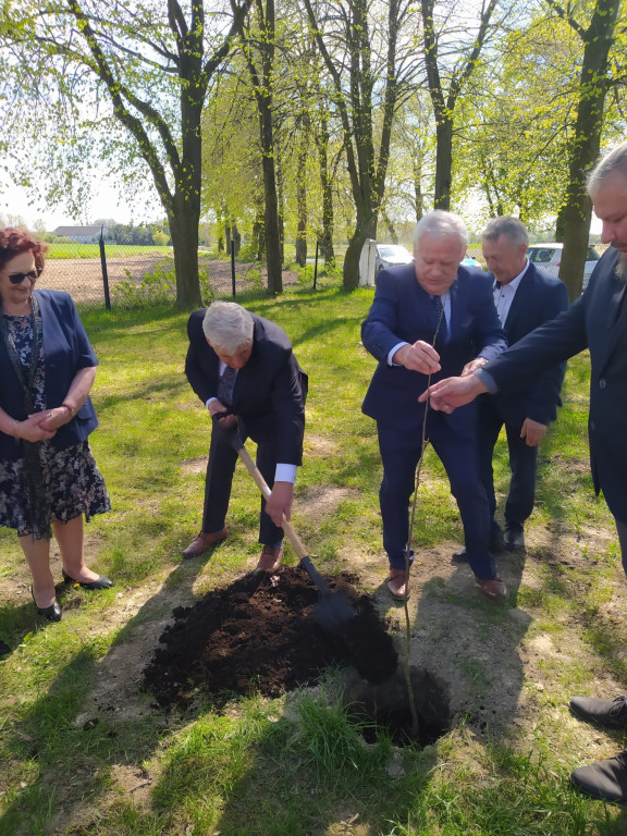 Posadzenie Dębu Władysława Górskiego w Sętkach